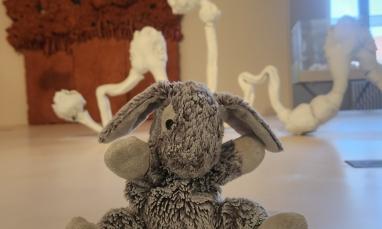 doudou