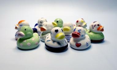 canard